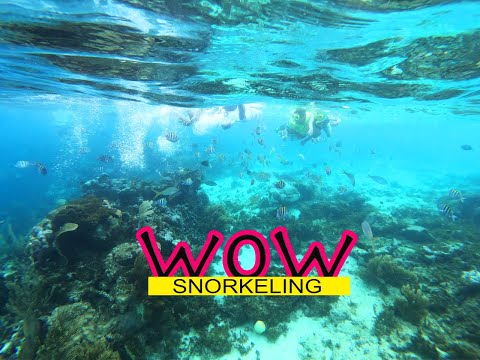 best snorkeling place!!!!!!! cayo arena dominican republic