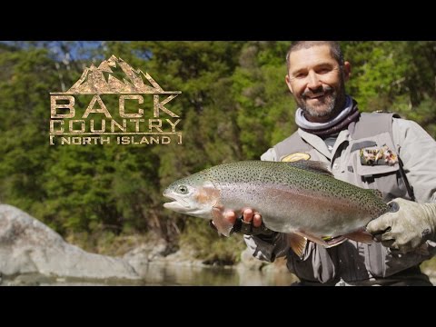 Fly Fishing NZ - Remolque de travesía en la isla norte