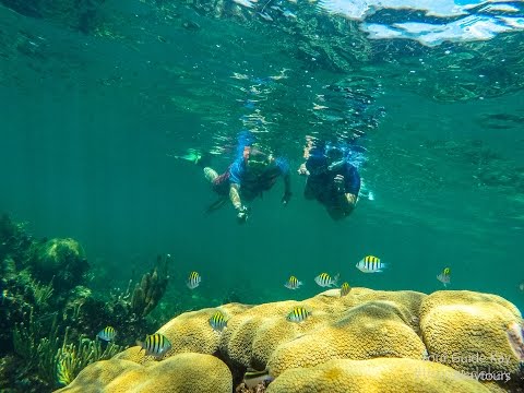Private Snorkel Tour at virgin reef in Tulum, Sian Ka'an, Mexico