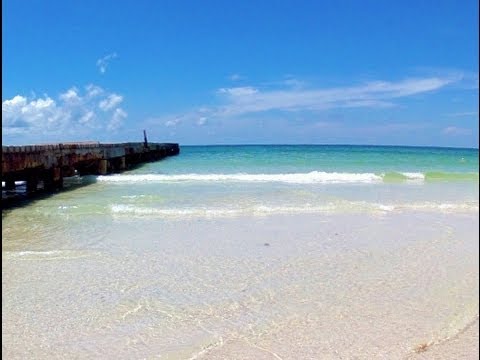 Snorkel en la playa de Bradenton | Florida