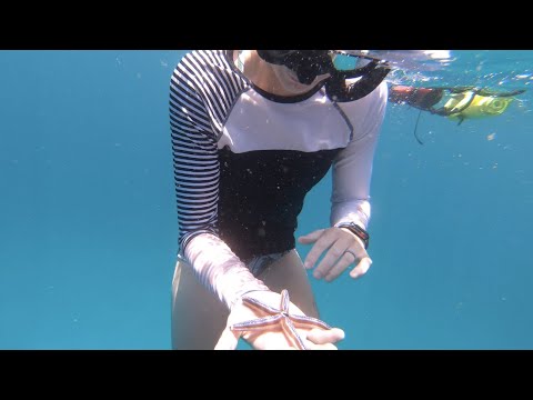 Vídeo en YouTube