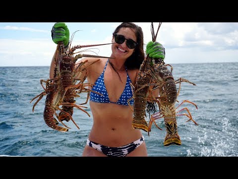 Limites de la pêche à la langouste en Floride - CATCH Clean COOK