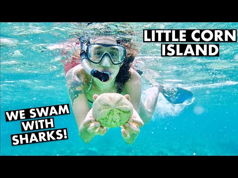 LITTLE CORN ISLAND, NICARAGUA (¡ISLA SECRETA DEL CARIBE!) SNORKEL CON TIBURONES | SIN COCHES NI CARRETERAS