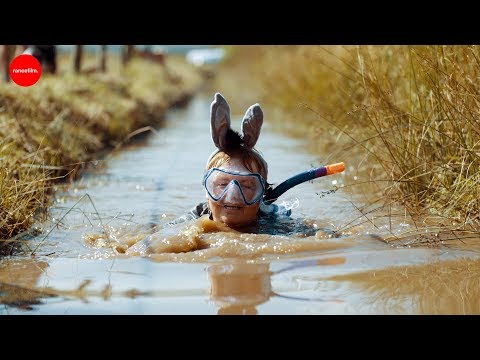 World Bog Snorkelling Championships - Rude Health