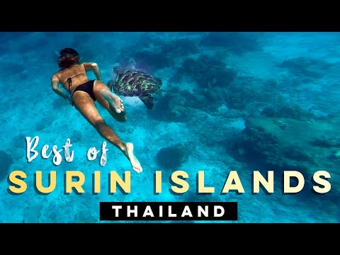 Lo mejor de las islas Surin (playas, apnea, tiburones, tortugas, arrecifes de coral, etc.)