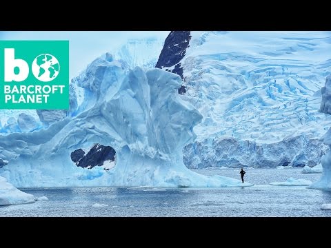Chill Seekers: apnea en la Antártida