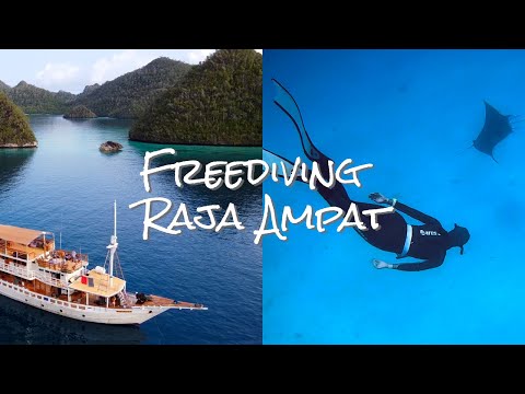 Freediving in RAJA AMPAT, Indonesia
