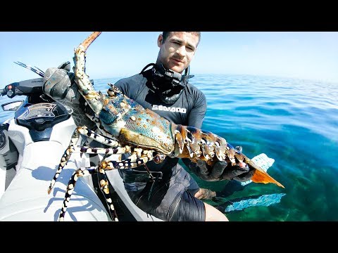 I QUIT MY FULL TIME JOB FOR YOUTUBE | Camping Catch And Cook Giant Crayfish Damper - Ep 67