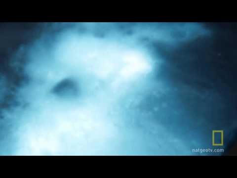 Vídeo en YouTube