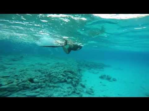 Snorkeling, Apnea Mangel Halto Beach Aruba
