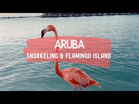 Aruba Snorkeling and Flamingo Island