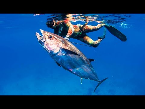 Película de pesca submarina - One Fish Legends