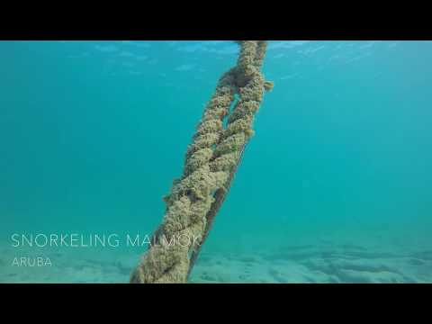 Plongée en apnée Malmok, Aruba