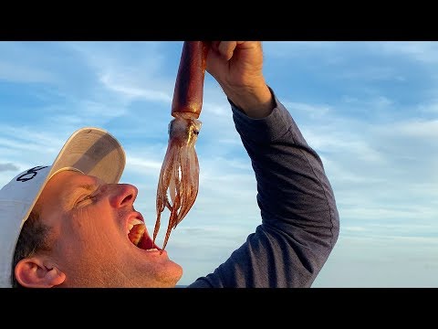 Deep Sea SQUID {Catch Clean Cook} Crispy Calamari with Sweet Thai Chili Sauce