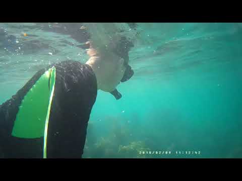 Plongée en apnée à Cabo Rojo, Puerto Rico- 10 FEB 2018