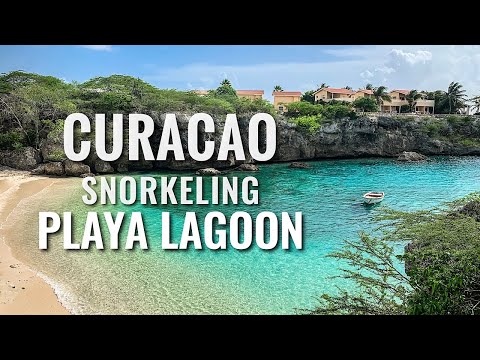 Snorkeling CURACAO Playa Lagun [4K]