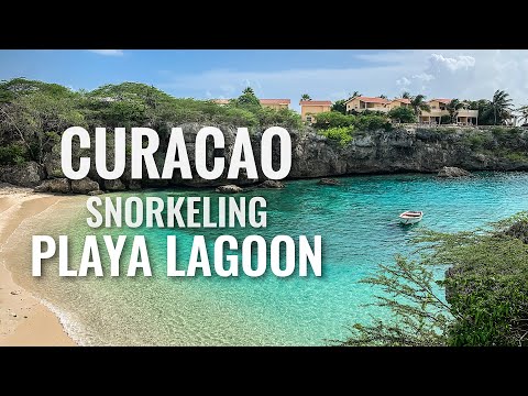 Snorkeling CURACAO Playa Lagun 2019 [4K]