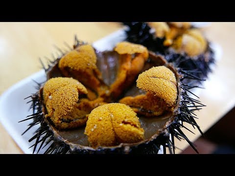 Japanisches Street Food - RIESIGER SEEIGEL Uni Sashimi Japanische Meeresfrüchte