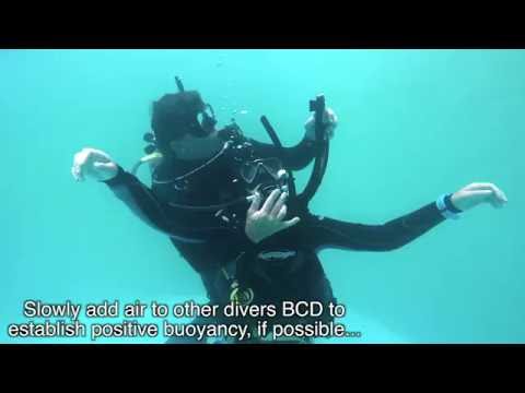 Exercices de sauvetage 6 - Remonter à la surface d'un plongeur qui ne répond pas sous l'eau