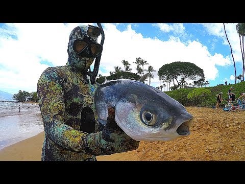 Speerfischen nach hawaiianischer Art - Großer Fang!