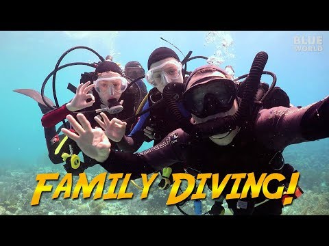 Family Diving in Bonaire (We took the kids diving!)
