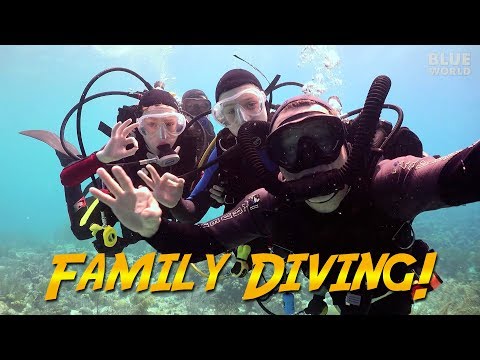 Buceo familiar en Bonaire (¡Nos llevamos a los niños a bucear!)