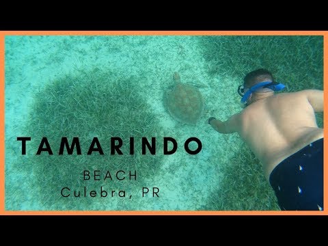 SNORKLING PLAYA TAMARINDO CULEBRA PORTO RICO