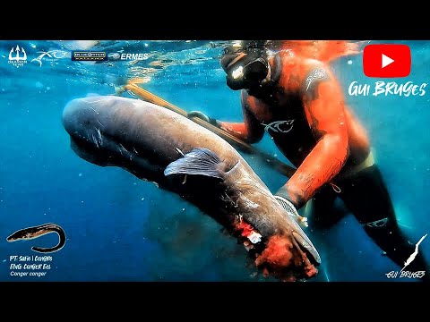 Spearfishing in Azores - Winter 2021