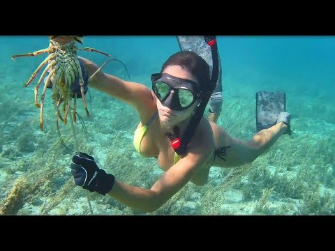 Pesca submarina y pesca de langosta en Gran Bahama