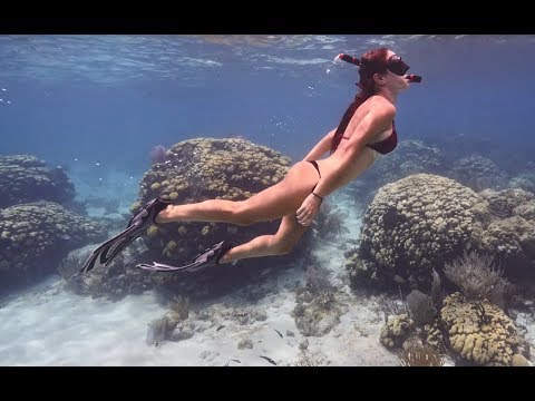 MEJOR BUCEO en arrecifes de aguas poco profundas de las ISLAS CAIMÁN