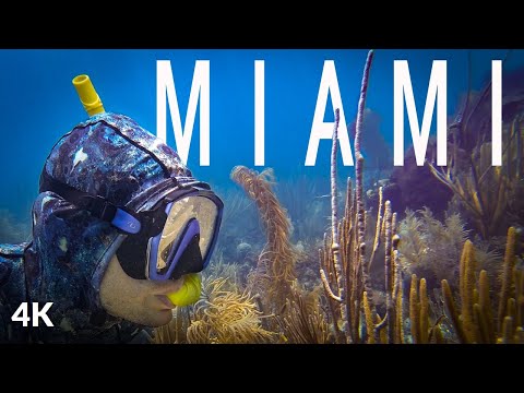 Snorkel en Miami - Parque Nacional Biscayne