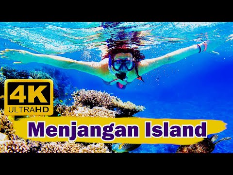 Schnorcheln auf der Insel Menjangan im Norden Balis | Indonesien reisen 4K