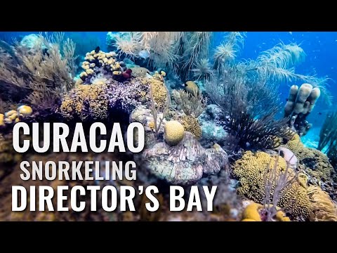 Plongée en apnée à CURACAO Director's Bay [4K]