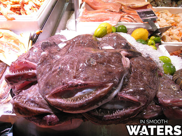 5 pește urât monkfish