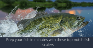 Los mejores descamadores de pescado