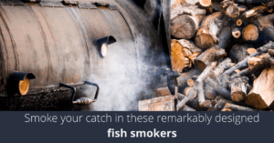 Meilleurs fumeurs de poisson