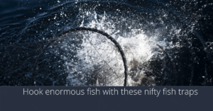 Las mejores trampas para peces