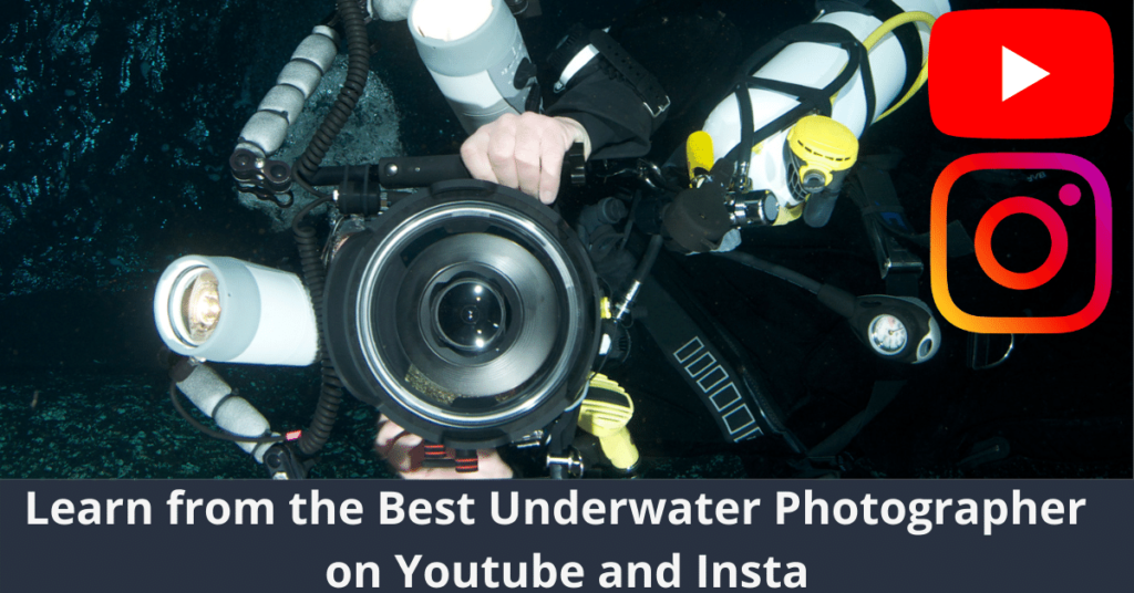 Meilleur photographe sous-marin sur Youtube et Insta