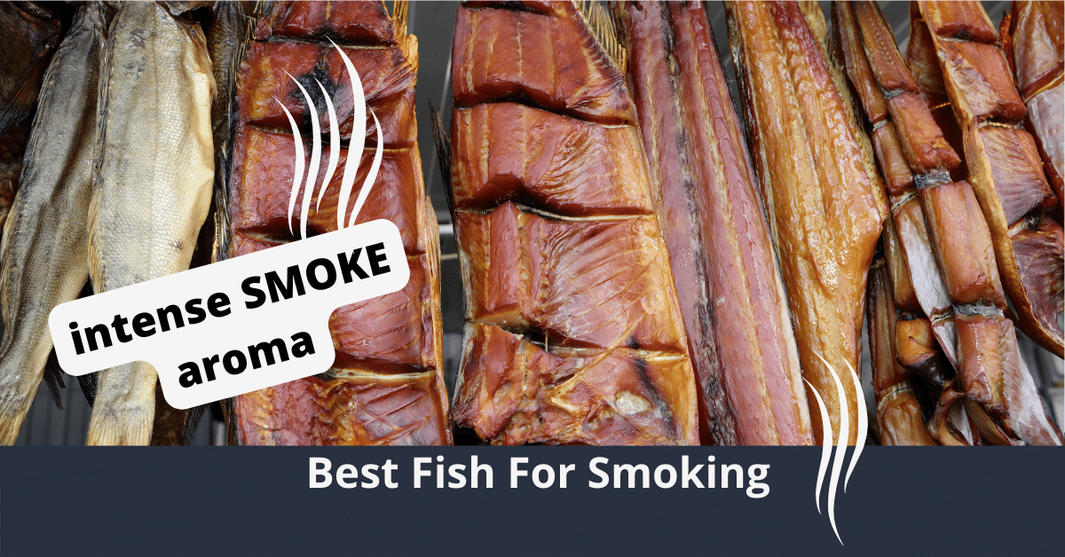 Best Fish For Smoking
