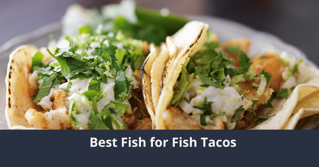 Bester Fisch für Fisch-Tacos