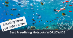 Best Freediving Hotspots On Earth