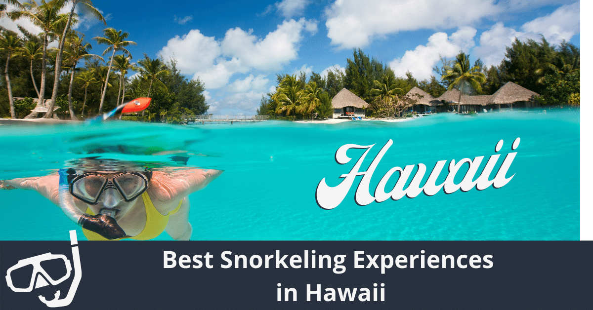Las mejores experiencias de esnórquel en Hawái