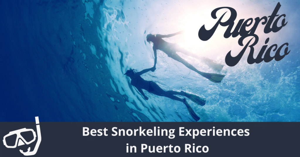 Las mejores experiencias de snorkel en Puerto Rico