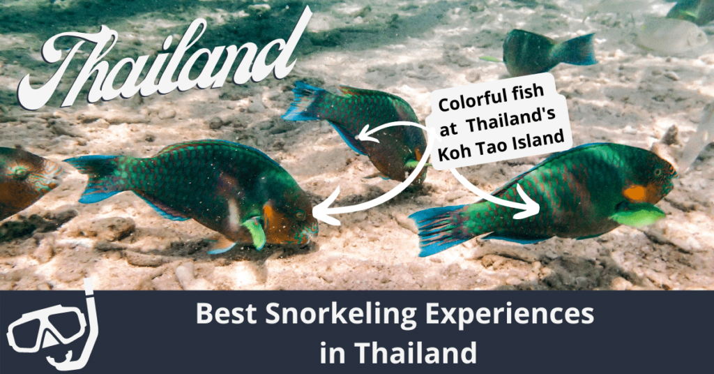 Las mejores experiencias de snorkel en Tailandia