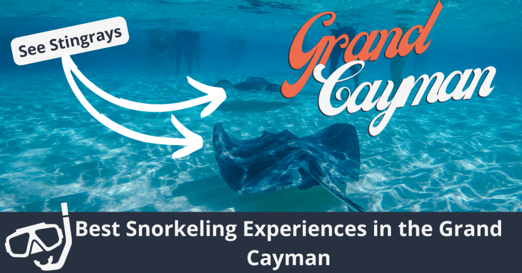 Las mejores experiencias de snorkel en Gran Caimán