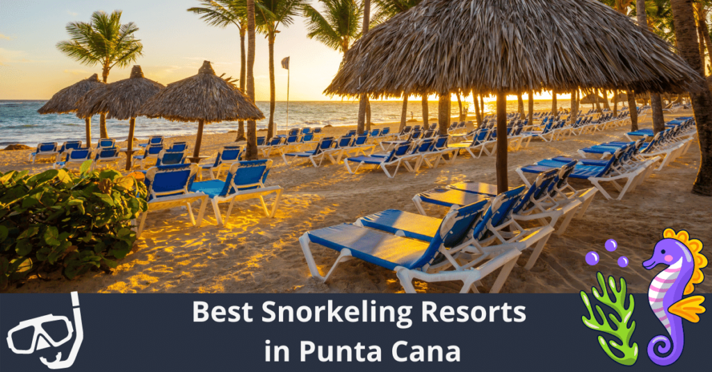 Die besten Schnorchelresorts in Punta Cana
