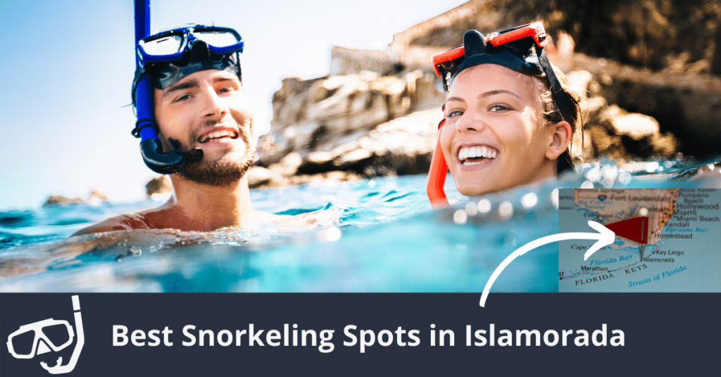 Los mejores lugares para hacer snorkel en Islamorada