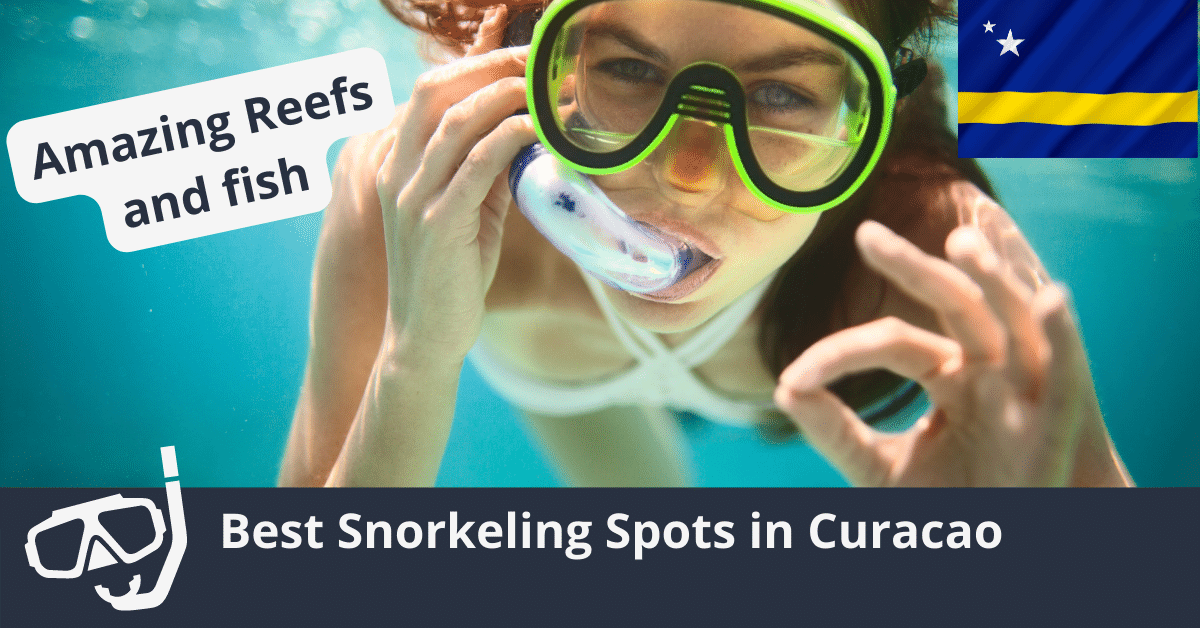 Best Snorkerling Spots in Curacao