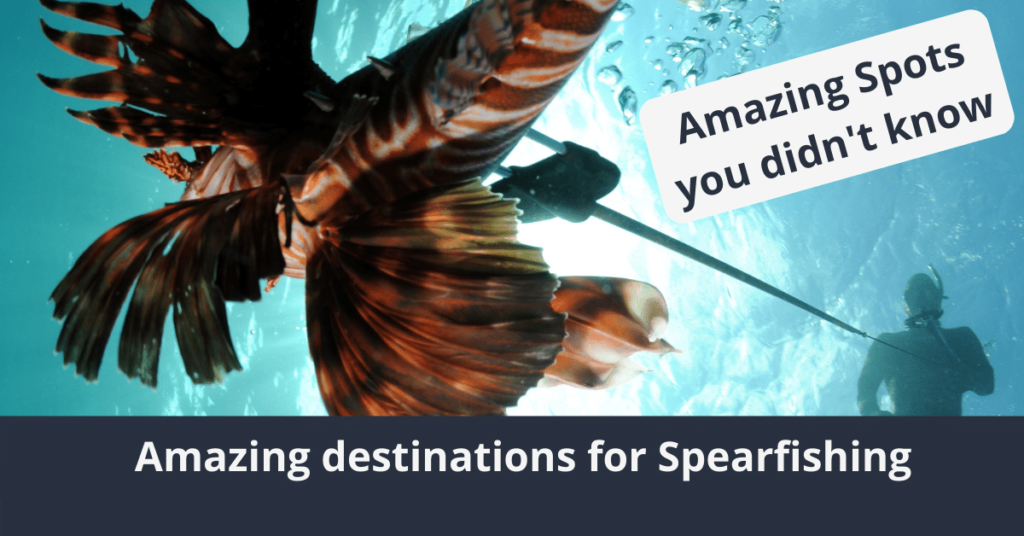 Best Spearfishing Destinations
