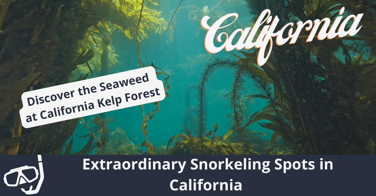 Spots de plongée en apnée extraordinaires en Californie